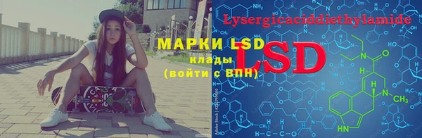 дмт Ельня