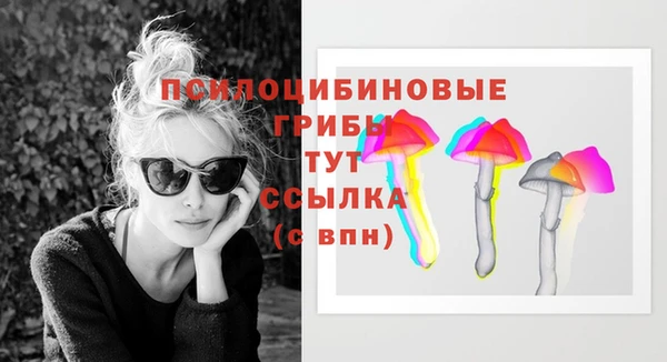 mdpv Елизово