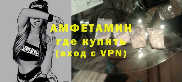 дмт Ельня