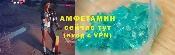 дмт Ельня
