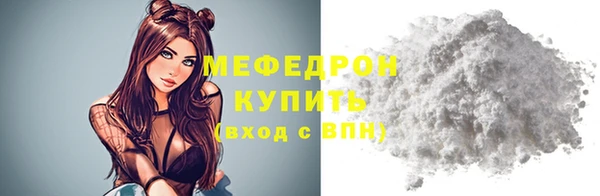 дмт Ельня