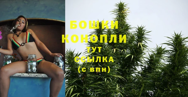 дмт Ельня