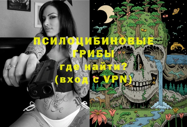 дмт Ельня