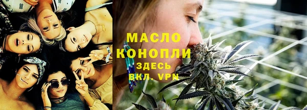 дмт Ельня