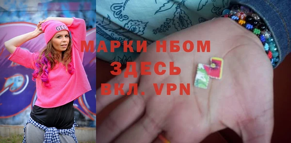 дмт Ельня