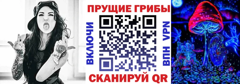 Купить закладки  Пыталово  Галлюциногенные грибы ЛСД 